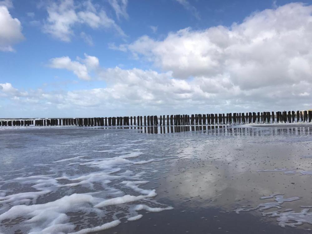Duinvilla Aan De Zee B&B Заутеланде Екстер'єр фото