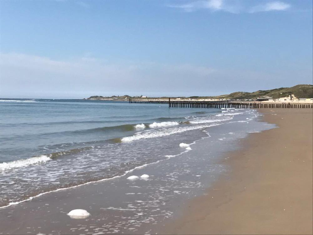 Duinvilla Aan De Zee B&B Заутеланде Екстер'єр фото